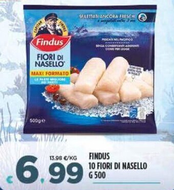 Findus 10 Fiori di Nasello g 500