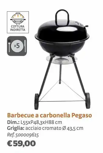 Bricocenter Barbecue a carbonella pegaso offerta