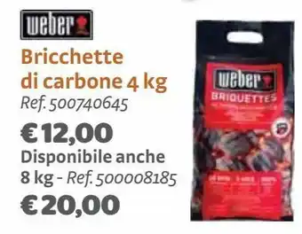 Bricocenter Bricchette di carbone 4 kg offerta