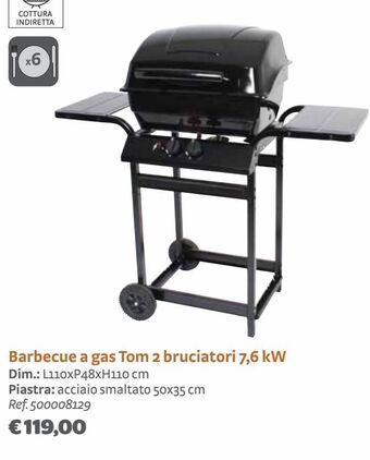 Barbecue a gas tom 2 bruciatori 7,6 kw