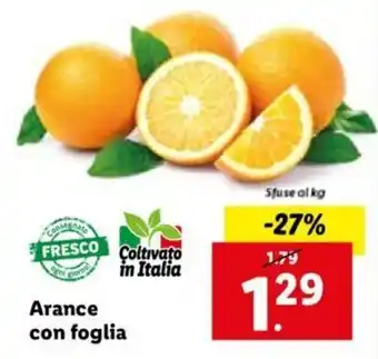 Lidl Arance con foglia offerta