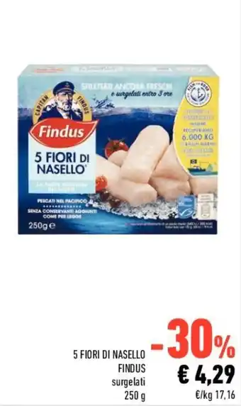 Conad Findus 5 Fiori di Nasello surgelati 250 g offerta