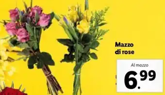 Lidl Mazzo di Rose offerta