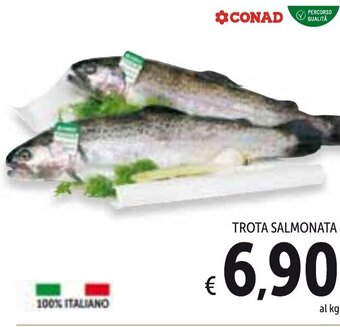 Spazio Conad Trota Salmonata offerta