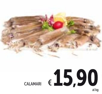 Spazio Conad Calamari offerta