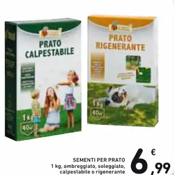 Spazio Conad Sementi Per Prato 1 kg, Ombreggiatto, Soleggiato Calpestabile o Rigenerante offerta