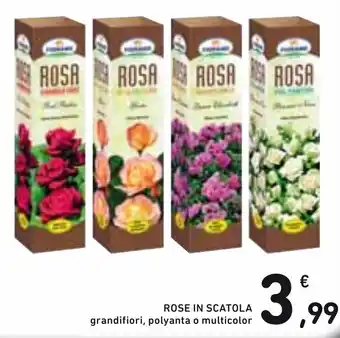 Spazio Conad Fiorand Rose In Scatola Grandifiori, Polyanta o Multicolor offerta