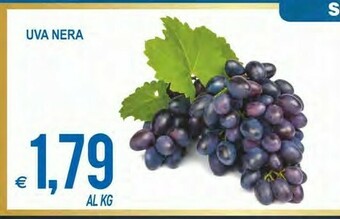 MD Discount Uva offerta