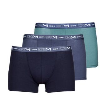 Boxer x3