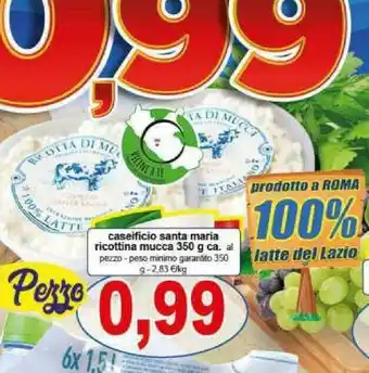 Gros Santa maria Ricottina Mucca offerta