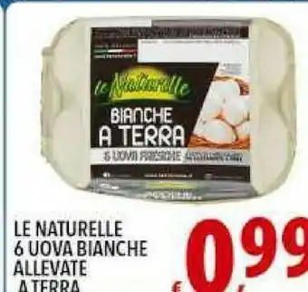 Le Naturelle Uova Fresche Bianche A Terra
