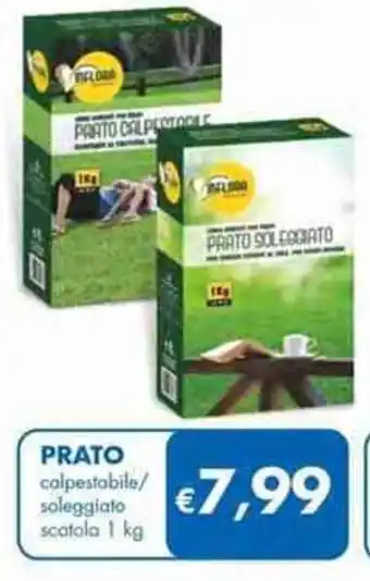 Prato calpestabile/soleggiato scatola 1 kg