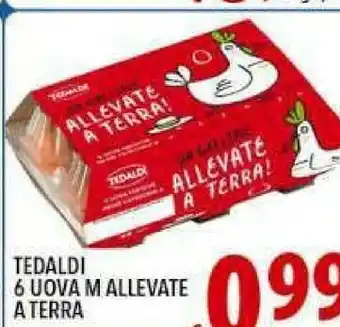 Tedaldi Uova