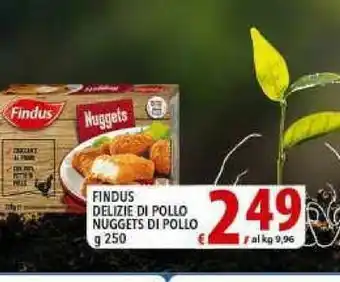 Iper Triscount Findus Delizie Di Pollo Nuggets Di Pollo offerta