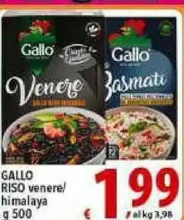 Gallo Riso Venere