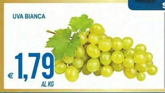 MD Discount Uva Bianca offerta