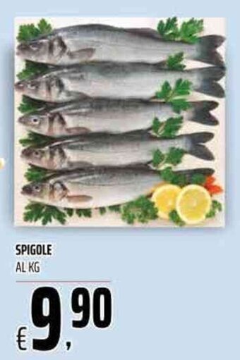 Coop Spigole offerta