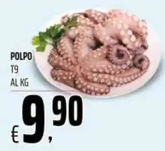 Coop Polpo T9 offerta