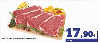 Costata di bovino adulto femmina