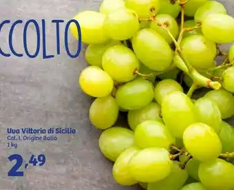 In'S Mercato Uva Vittoria Di Sicilia offerta