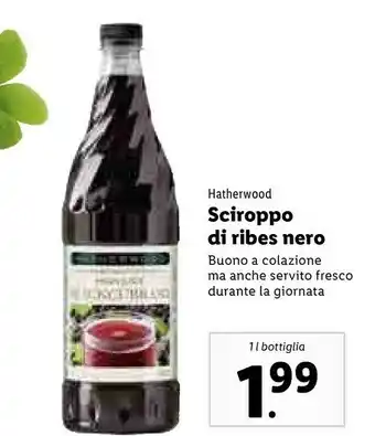 Hatherwood Sciroppo Di Ribes Nero