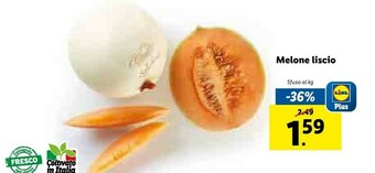 Lidl Melone Liscio offerta