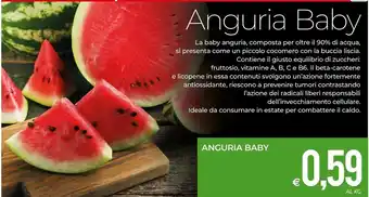 MD Discount Anguria Baby offerta