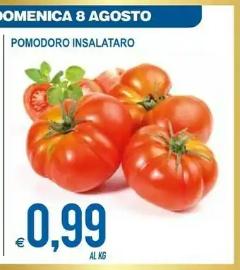 MD Discount Pomodoro Insalatario offerta
