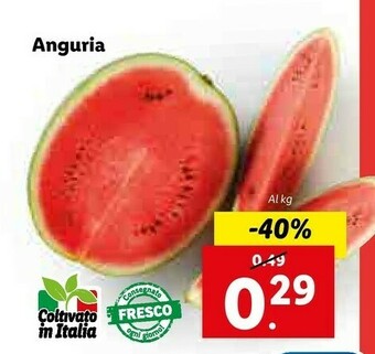 Lidl Anguria offerta