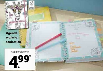 Lidl Agenda O Diario Scolastico offerta
