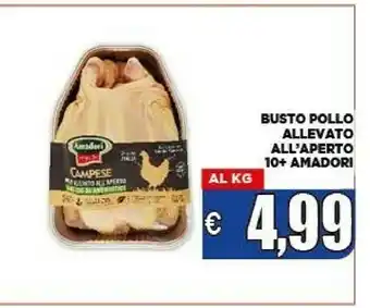 Vivo Supermercati Amadori Busto Pollo Allevato All'Aperto 10+ offerta