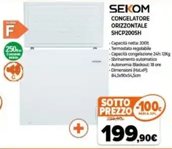 Expert Sekom Congelatore Orizzontale SHCP200SH offerta