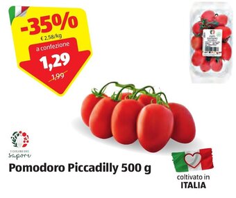 ALDI Pomodoro Piccadilly 500 g offerta