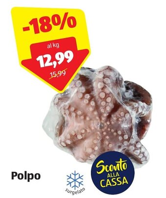 ALDI Polpo offerta