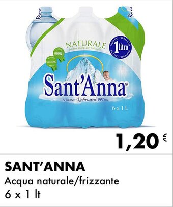 Sant'Anna Acqua naturale/frizzante 6 x 1 lt