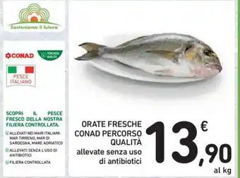 Conad Conad Percorso Qualità Orate Fresche allevate senza uso di antibiotici offerta