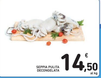 Conad Seppia Pulita Decongelata offerta
