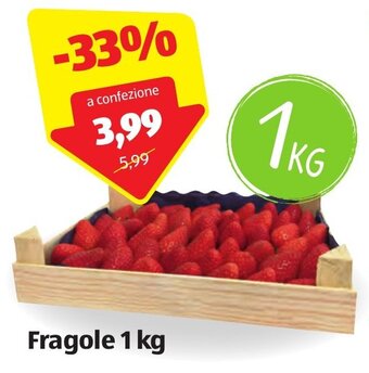 ALDI Fragole 1 kg offerta