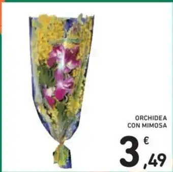 Conad Orchidea Con Mimosa offerta