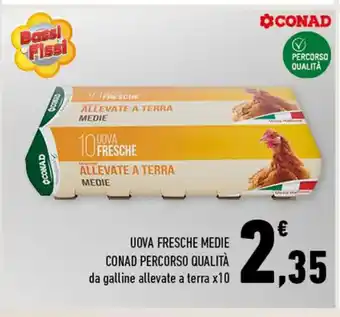 Conad Conad Uova Fresche Medie Percorso Qualità da galline allevate a terra x 10 offerta