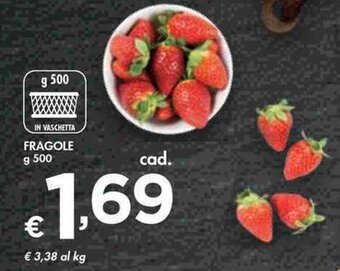 Fragole g 500