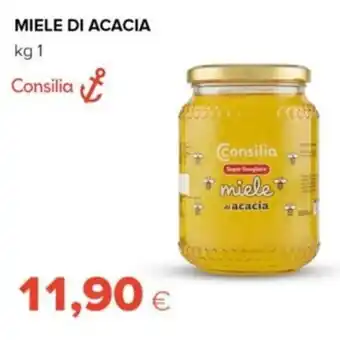Tigre Miele di Acacia 1 kg offerta