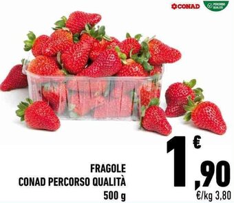 Conad Fragole Conad Percorso Qualità 500 g offerta