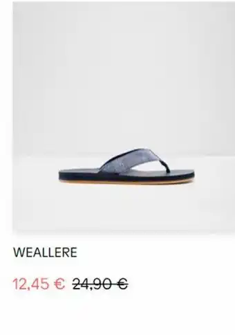 Aldo Wealler offerta
