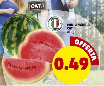 PENNY Mini Anguria Cat.1 offerta