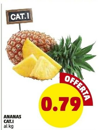 PENNY Ananas offerta