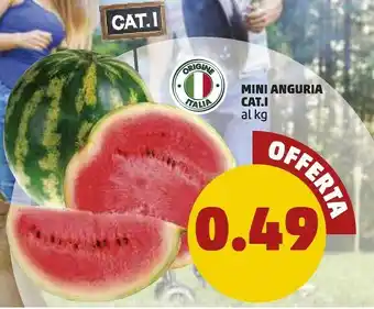 PENNY Mini Anguria Cat.1 offerta