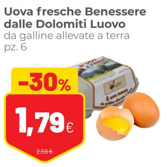 Coop Uova fresche Benessere dalle Dolomiti Luovo da galline allevate a terra pz. 6 offerta