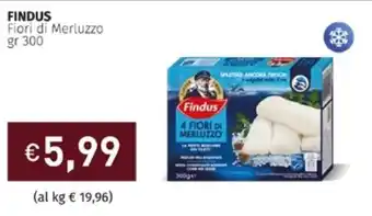Prezzemolo e Vitale Findus Fiori di Merluzzo gr 300 offerta