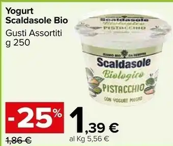 Carrefour Scaldasole Yogurt offerta